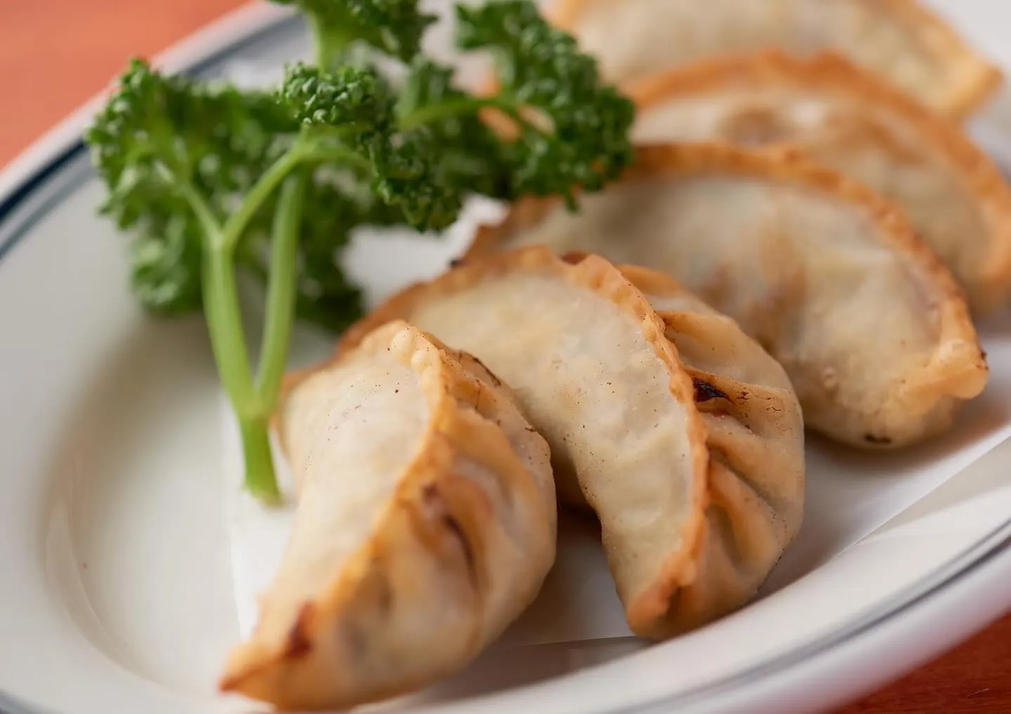 本日も当店の人気料理「ラム揚げ餃子」を皆んなで包みました😁