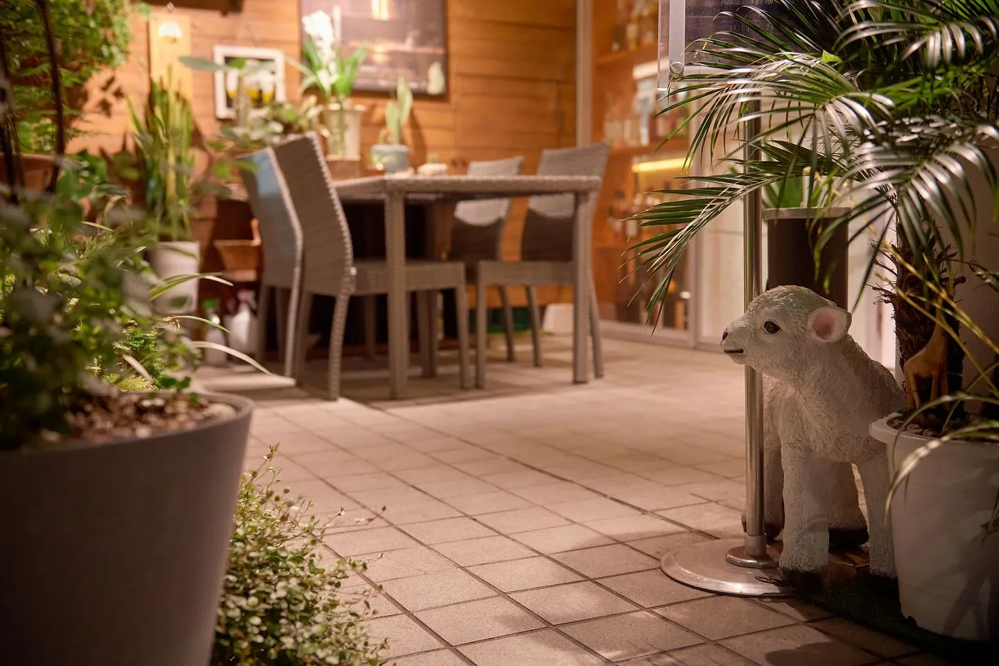 遠野ジンギスカンよし田中目黒店では、大切なペットと一緒にお食...